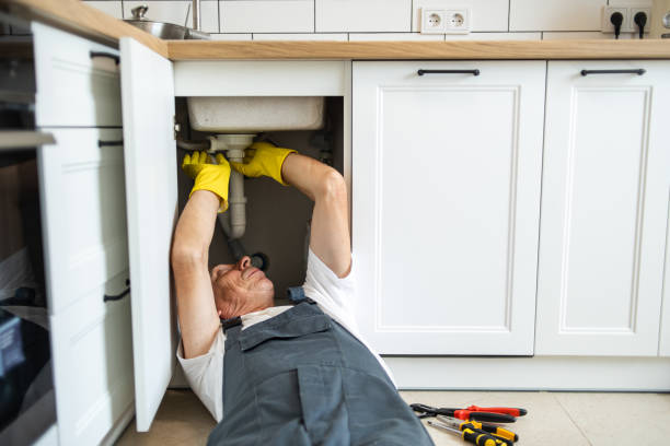 Best Emergency Plumber  in Cuba City, WI